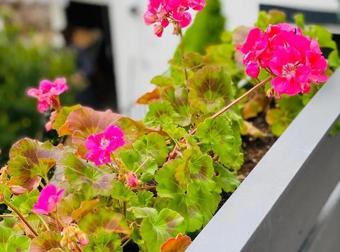 Liro Hotel-pension Haus Andrea 4* Niederkrüchten