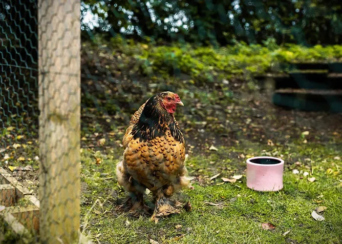 Liro Hotel-pension Haus Andrea 4*